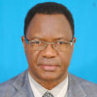 Engineer Goodluck Mmari
